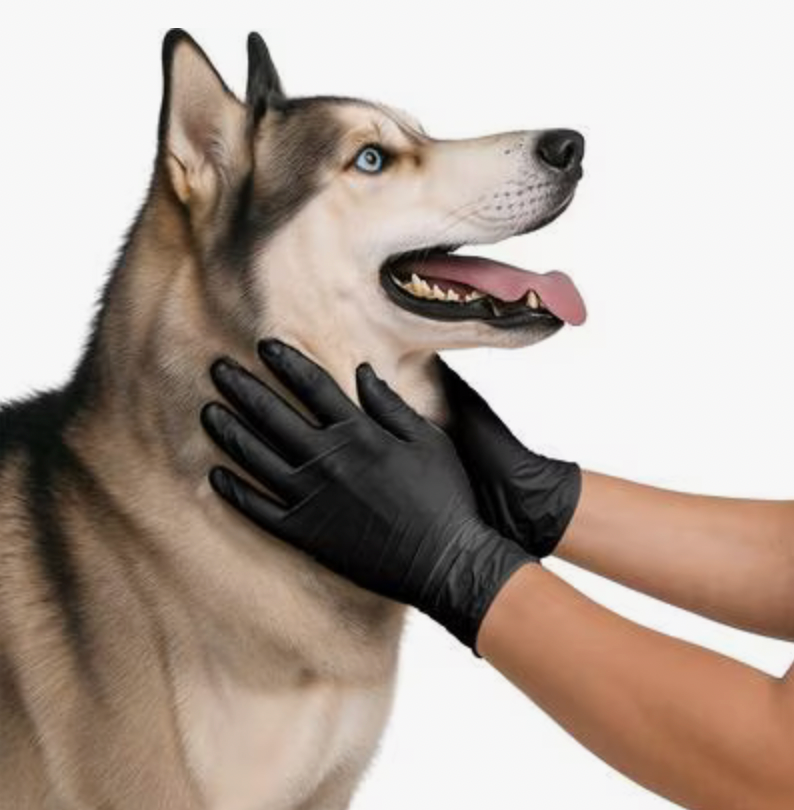 1000 counts 5 Mil Ultra Stretch Professional Heavy-Duty Black Nitrile Exam Gloves